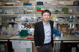 Feng Zhang