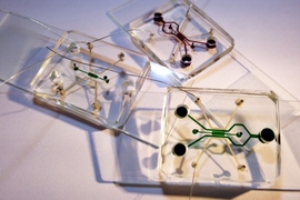 A photo of three microfluidic devices filled with food color dyes. The device, about the size of a credit card, is designed to help scientists narrow in on safe ranges of electric fields that might be used to noninvasively treat breast, lung, and other forms of cancer.
