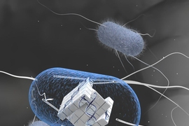 “You can build very complex computing systems if you integrate the element of memory together with computation,” says Timothy Lu, an associate professor of electrical engineering and computer science and of biological engineering, and head of the Synthetic Biology Group at MIT’s Research Laboratory of Electronics.
