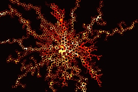 Lab experiments carried out by an MIT and Oxford University team provide detailed information about how a liquid moves through spaces in a porous material, revealing the key role of a characteristic called wettability.
