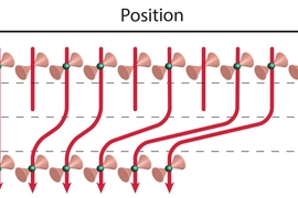 “We have demonstrated a reconfigurable array of traps for single atoms, where we can prepare up to 50 individual atoms in separate traps deterministically, for future use in quantum information processing, quantum simulations, or precision measurements,” says Vladan Vuletic, one of the paper’s authors and the Lester Wolfe Professor of Physics at MIT.
