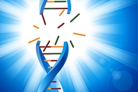When cells suffer DNA damage, there are several different pathways that can kick in to help repair it, depending on the type of damage. Cells from different people and different tumors vary greatly in their ability to repair DNA damage, and scientists have been pursuing measurements of this ability as a way to predict how patients will respond to DNA-damaging chemotherapy.
