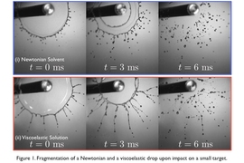 Scientists have typically focused on what are known as Newtonian fluids, such as water and oil — relatively thin, homogenous liquids. But they’ve had difficulty predicting the distribution of droplet sizes observed for non-Newtonian fluids such as saliva, blood, paint, and resins.
