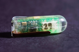 Researchers at MIT and Brigham and Women’s Hospital have designed and demonstrated a small, ingestible voltaic cell that is sustained by the acidic fluids in the stomach.
