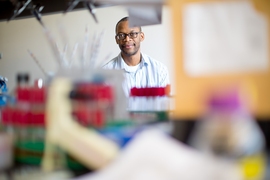 A team of MIT biological engineers has developed a method to measure levels of the iron-containing protein heme inside the malaria parasite. “One of our long-term goals is ultimately being able to tie insights from these studies back to thinking about drug discovery and targeting pathways that regulate heme,” says Jacquin Niles, an MIT associate professor of biological engineering.

