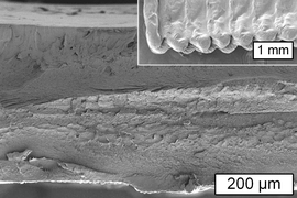 This image from a scanning electron microscope shows a cross section of an object printed using cellulose. The inset shows the surface of the object. 
