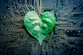 Engineers have designed a microfluidic device they call a “tree-on-a-chip,” which mimics the pumping mechanism of trees and other plants. 
