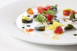 Phytoplankton pasta salad with heirloom tomatoes and wild sorrel (coined by Matthew Delisle).
