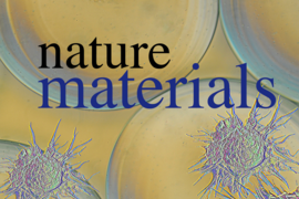 Felice Frankel, a research scientist in MIT’s Center for Materials Science and Engineering, has helped to produce images that just in the last few months have graced the covers of Nature, Nature Materials, and Environmental Science, among others.
