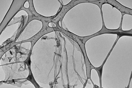 A transmission electron micrograph shows the microscale morphology of graphene oxide, examined for the design of new filtration membranes.  