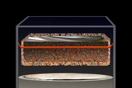 A type of battery first invented nearly five decades ago could catapult to the forefront of energy storage technologies, thanks to a new finding by researchers at MIT.
