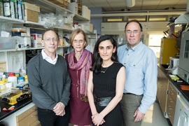 From left to right, the research team includes Institute Professor Robert Langer, Institute Professor Ann Graybiel, Assistant Professor Canan Dagdeviren, and Professor Michael Cima.
