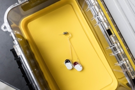 The MIT team developed tiny devices that can be implanted into the brain to deliver drugs.
