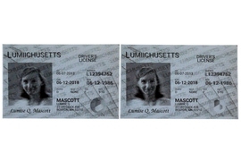 MIT startup Lumii creates ink designs that make images appear three dimensional on packages, labels, IDs, and more.