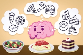 “When you encounter something new, there are some really new and notable stimuli, but you already know quite a bit about that particular experience, because it’s a similar kind of experience to what you have already had before,” says Susumu Tonegawa, a professor of biology and neuroscience at the RIKEN-MIT Laboratory of Neural Circuit Genetics at MIT’s Picower Institute for Learning and Me...