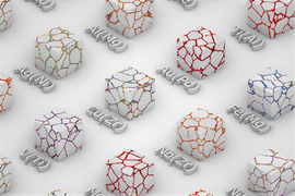 crystalline grains graphic