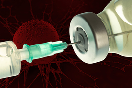 syringe in a vaccine vial