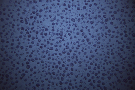 Blue photo shows hundreds of splotchy, dark blue nodules freckling the sea bed.