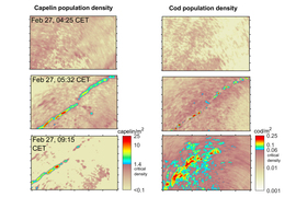 Images on left and right represent capelin and cod populations in bright colors, and show a large amount of cod gathering.