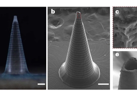 Four views of the microneedle including the texture and opening of the microneedle.