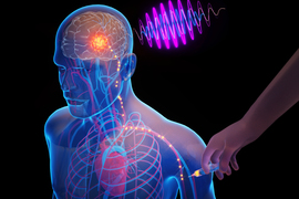 Light pulses from a syringe go up an arm to the brain.