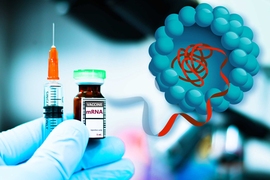 A syringe and a spherical lipid figure