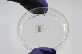 The programmable drug-delivery patch.
