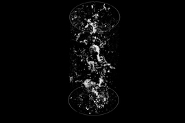 X-ray view of carbonate minerals deposited within a basalt core. 