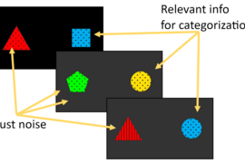 Examples of three images, each with two shapes. The shapes on the left are “just noise” while the ones on the right are “relevant info for categorization.”