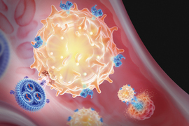 The nanoparticles, like blue wheels, emit purple balls of mRNA into a large yellow sphere.
