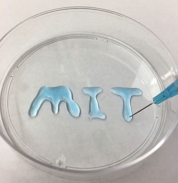 Graduate student Aliza Khurram prepares for experiments by pumping carbon dioxide through an electrochemical cell consisting of lithium and carbon electrodes plus a specially designed electrolyte.