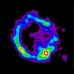 This X-ray image of the supernova remnant E0102-72 shows an expanding multimillion-degree ring of oxygen that was created deep inside a massive star and hurled into space by the explosion of the star. The ring is about 30 light years across and contains enough oxygen for thousands of solar systems. Images such as these provide unprecedented details about the creation and dispersal of heavy element...