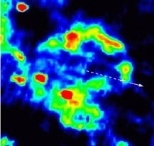 Infrared image of supernova remnant; dashed line and arrow indicate pulsar's motion detected by VLA.