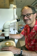 Leonard Guarente.