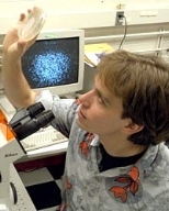 Alexander van Oudenaarden, biophysicist and assistant professor of physics, surveys slide on which E.coli bacteria is present. On monitor behind him is an image of the clumping of bacteria that occurs when they are threatened.