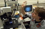 Assistant professor of physics Alexander van Oudenaarden surveys a slide that contains E. coli bacteria. The monitor shows an image of bacteria clumping, which they do when threatened.