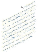 Fry's representations (full view and detail) of all of the genes on chromosome 14 and their descriptions.