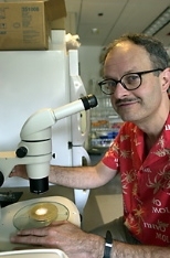 Leonard P. Guarente