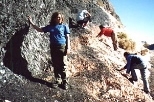 The group pulled over on a road in California to examine a striking band of black volcanic glass between layers of bright red tuff (another type of volcanic rock). Sarah Gottfried, a senior in biology, stands in the foreground.