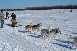 Sophomore Ross Fu (left) looks on as a sled dog musher shows her skills.