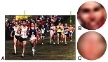 Objects can be defined both by intrinsic and contextual cues. In image (a), some of the runner's faces have enough intrinsic information to permit their classification as faces based on local image structure (b), while others almost entirely lack such intrinsic cues (c) and rely on contextual information. Many real-world viewing situations (such as observing objects at a distance, through haze or ...