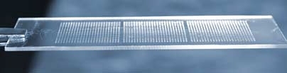 More than 1,700 spots of biomaterial (500 different materials in triplicate) cover the surface of this glass slide; each can then be "seeded" with living cells. The MIT technology offers a quick, easy way to test how a given material affects cell behavior.