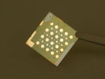 A protein complex named Photosystem I, which is derived from spinach chloroplasts, functions as an extremely small electronic circuit. About 100,000 of them would fit on the head of a pin.