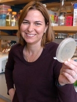 Angela Belcher