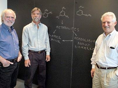 From left, Pete Wishok, Paul Skipper and Steve Tannenbaum, display diagrams related to their work identifying three new chemical risk factors for bladder cancer.
