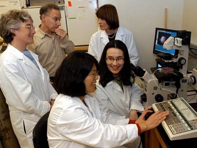 MIT heart tissue researchers include, from left, HST research scientist Dr. Lisa Freed;  Professor Robert Langer; HST research engineer Hyoungshin Park (seated);  HST principal research scientist Gordana Vunjak-Novakovic, and HST postdoc Milica Radisic (seated).
