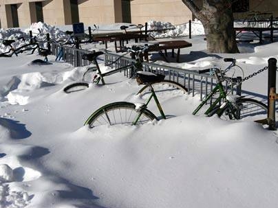 With their wheels nearly buried, bicycles on campus provide a ready measure for the snow's depth following the Jan. 22-23 blizzard.