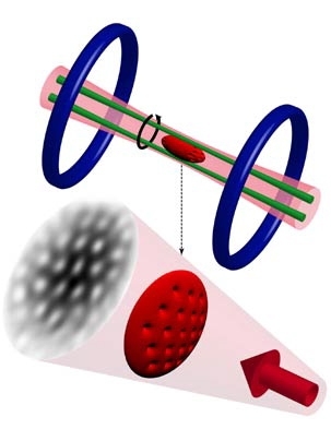 In the top portion of this illustration, the gas of fermions (red) is trapped in an infrared laser beam (pink) and held in place by a magnetic field generated by current-carrying coils (blue). Two additional laser beams, shown in green, were used like coffee stirrers to set the gas into rotation. The result, as illustrated below, could be seen in a shadow picture of the expanded cloud that showed ...