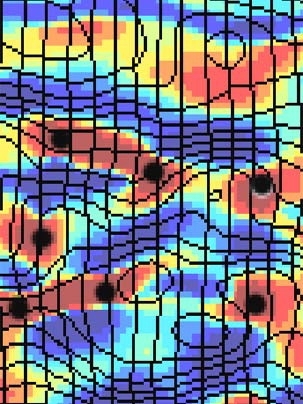 In these contour maps of the visual center in the brain, variations in color indicate how much individual neurons are oriented toward a particular feature of a visual scene.
