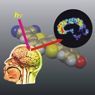 MIT scientists have found a new way to monitor Alzheimer's disease using a fluorescent marker ("bubbles" in the background). The dye enters the brain after an intravenous injection and selectively binds to the plaques associated with the disease. Subsequent scanning with a near-infrared laser beam (hv) makes it possible to monitor the plaques through the characteristic fluorescence of the dye (bla...